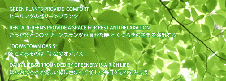 王子木材緑化のレンタルグリーン