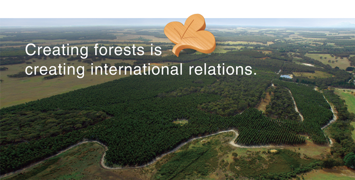 Creating forests is creating international relations. main image