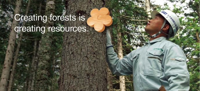Creating forests is creating resources. main image
