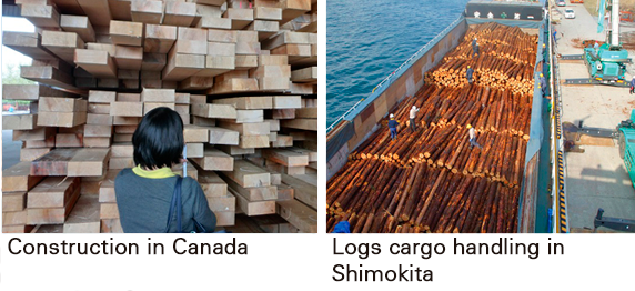 Construction in Canada, Tokyo　Logs cargo handling in Shimokita