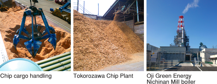 Chip cargo handling,　Tokorozawa Chip Plant,　Oji Green Energy Nichinan Mill boiler