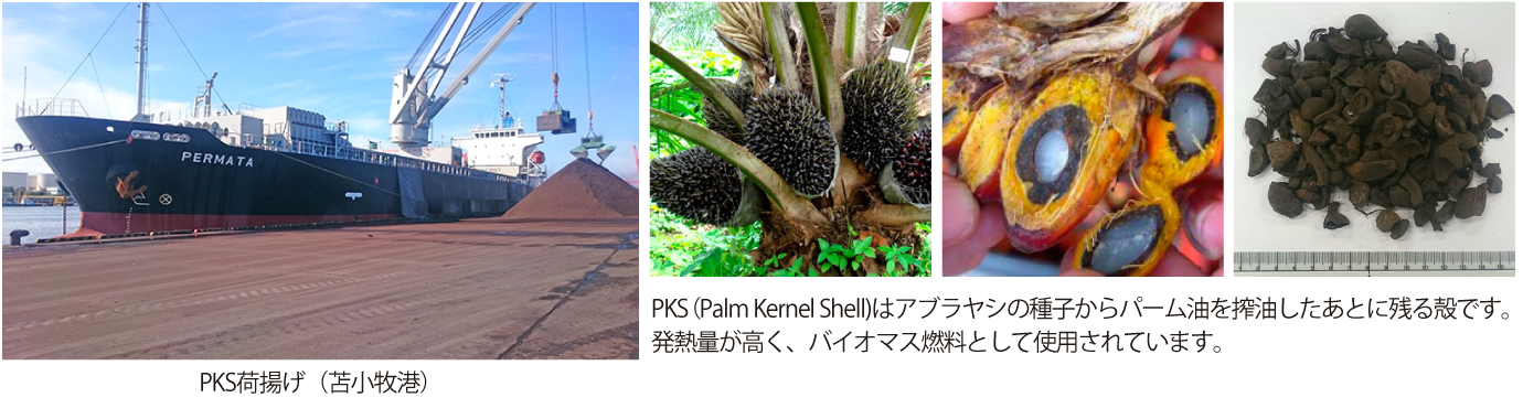 マレーシア・インドネシアから国内のバイオマス発電所向けにPKSを調達しています。PKS（Palm Kernel Shell)はアブラヤシの種子からパーム油を搾油したあとに残る殻です。発熱量が高く、バイオマス燃料として使用されています。