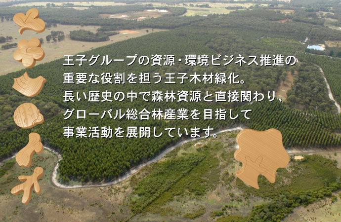 王子グループの資源・環境ビジネス推進の重要な役割を担う王子木材緑化。