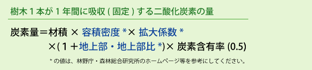 樹木一本が一年間に吸収（固定）する二酸化炭素の量