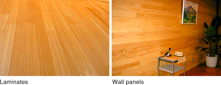 Laminates  Wall panels