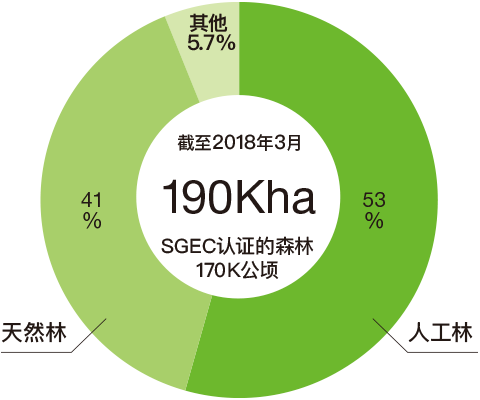 王子集团公司自有林和分成林 面积189千ha
蓄积23,500千m3 蓄积比率 天然林 52.1％ 人工林 47.9％ 面积比率 天然林 53.3％ 人工林 41.1％ 其他 5.5％ 截至2014年3月