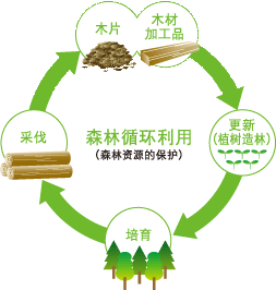 森林循环利用（森林资源的保护） 更新（植树造林）→培育→采伐→木片 木材加工品→ 